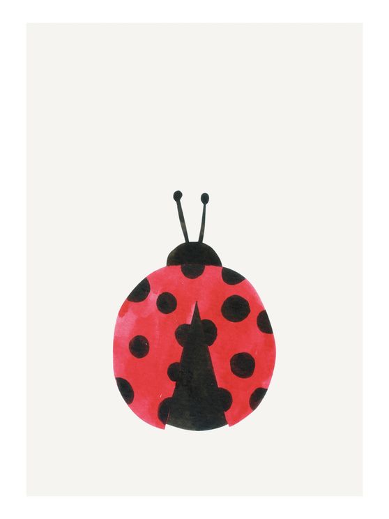 Lil LadyBug