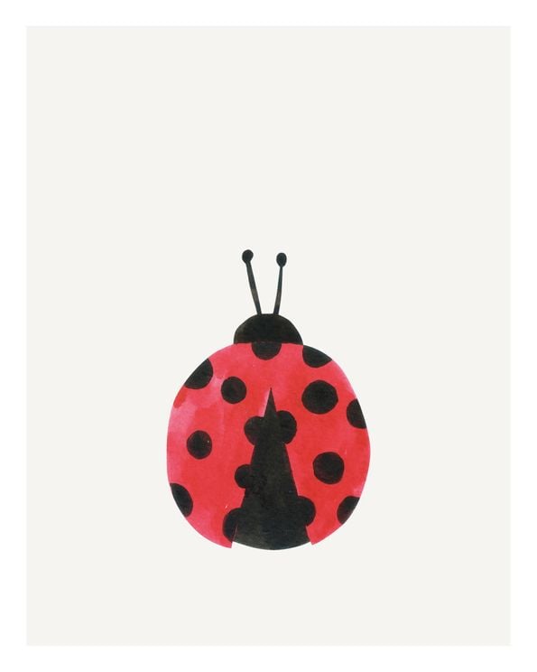 Lil LadyBug