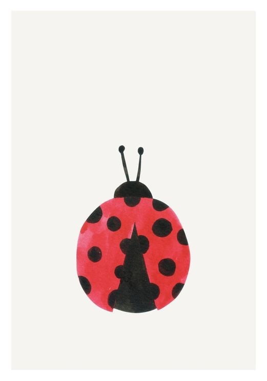 Lil LadyBug