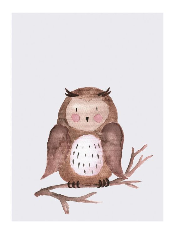 Lil Owl