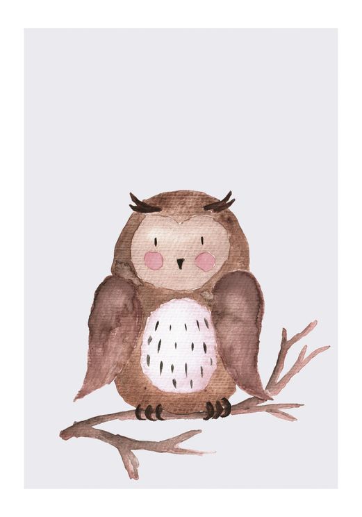 Lil Owl