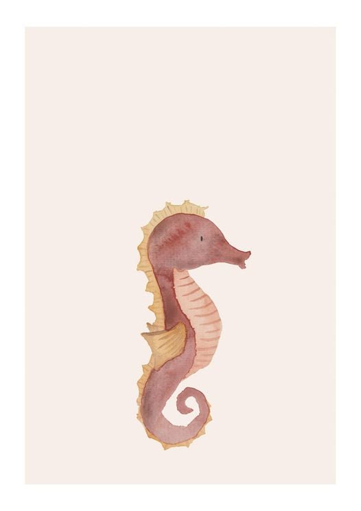 Lil Seahorse