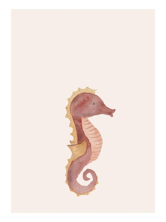 Lil Seahorse