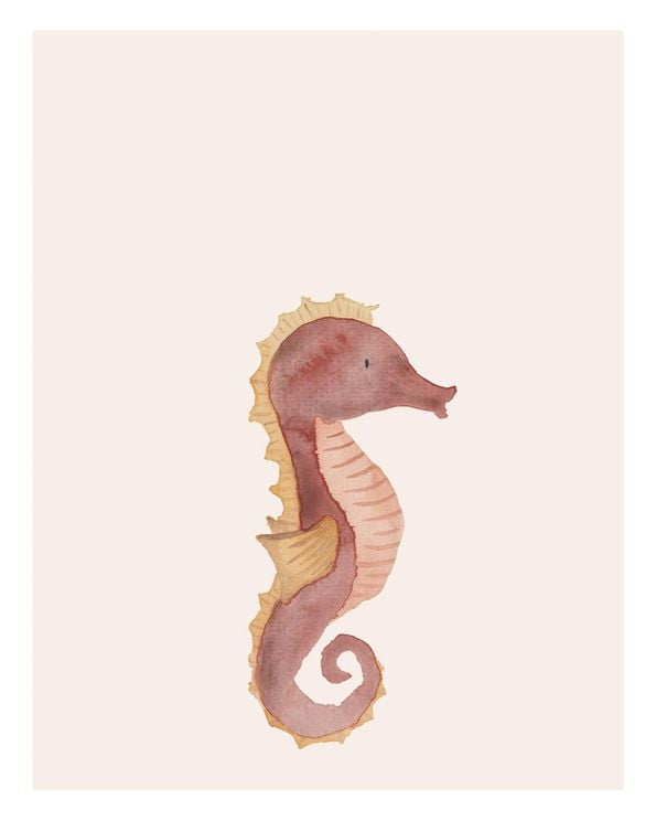 Lil Seahorse