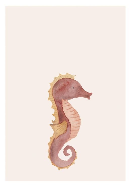 Lil Seahorse