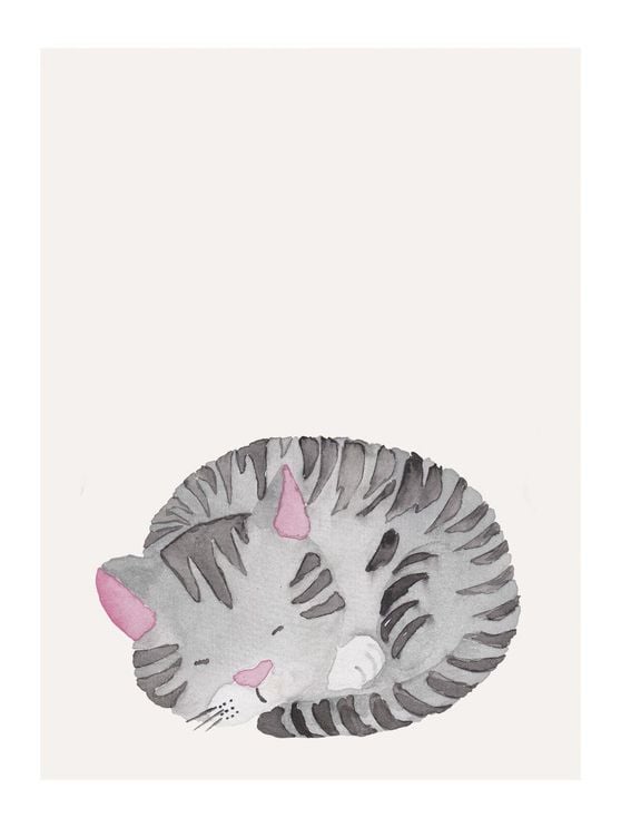 Lil Sleepy Cat
