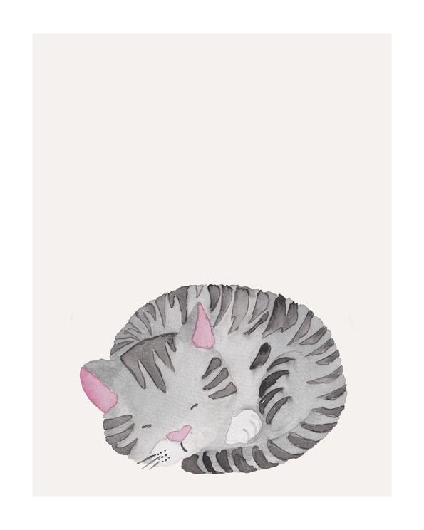 Lil Sleepy Cat