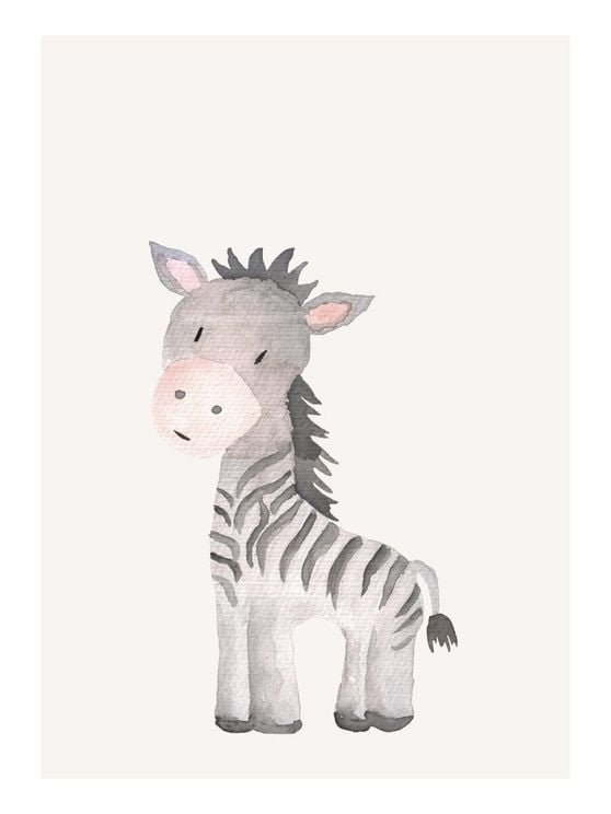 Lil Zebra