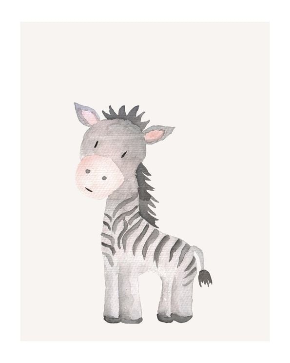 Lil Zebra