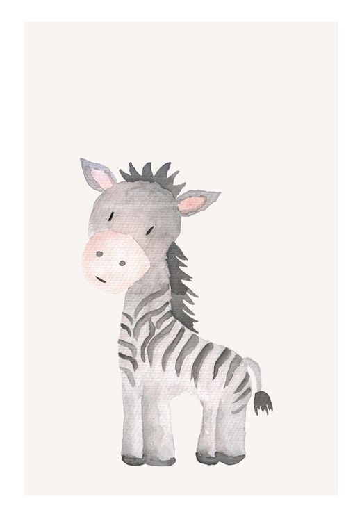 Lil Zebra