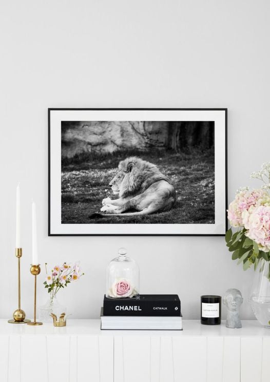 Lion Break