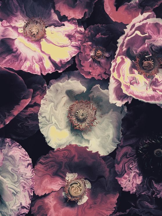 Liquified Poppies