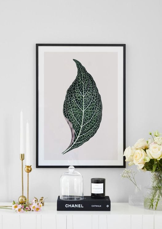 Lone Leaf