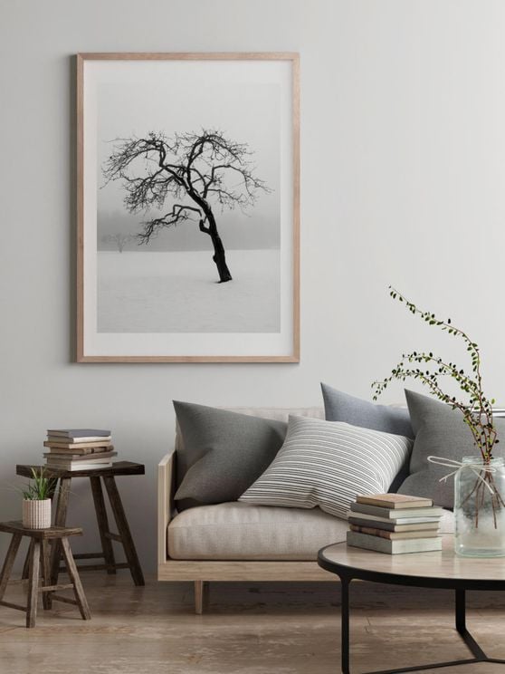 Lonely Tree