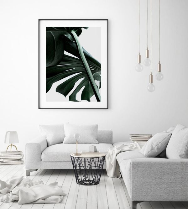 Macro Monstera