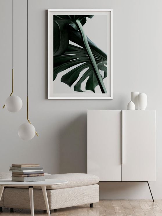 Macro Monstera