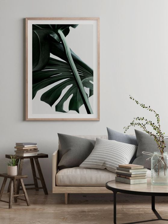 Macro Monstera