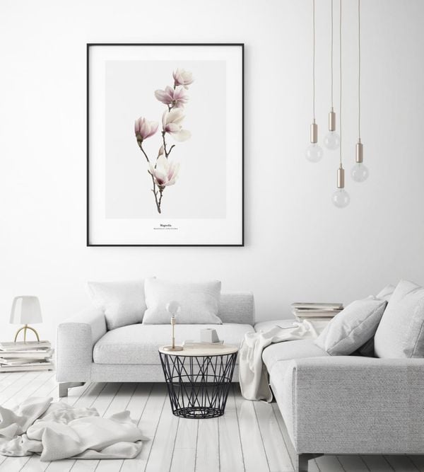 Online Purchase Poster Magnolia