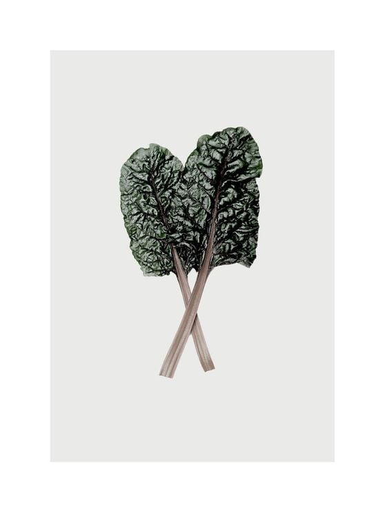 Mangold leaf