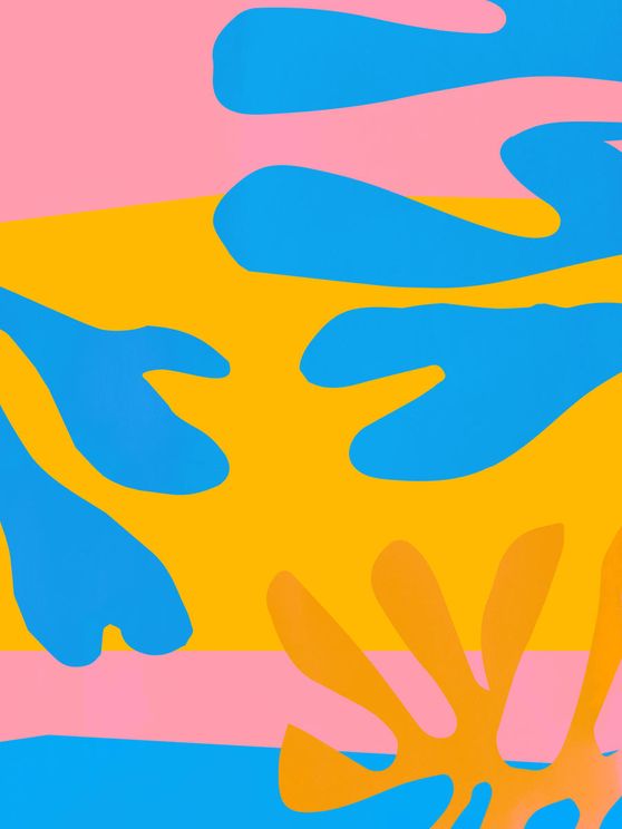Matisse Pattern 3