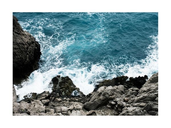 Mediterranea
