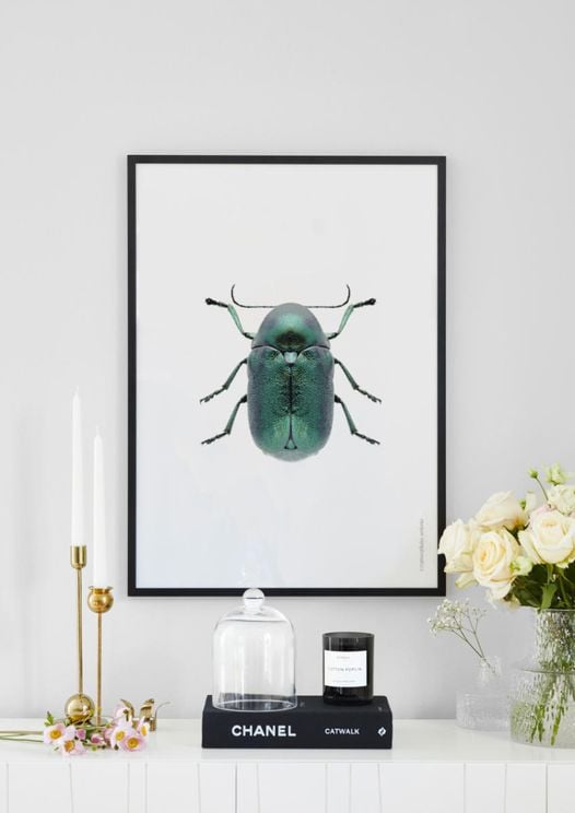 Mint Beetle