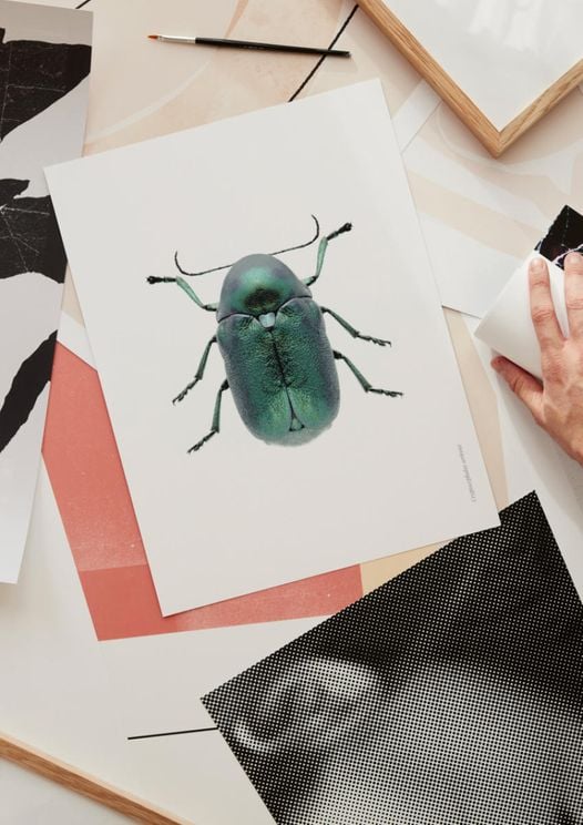 Mint Beetle