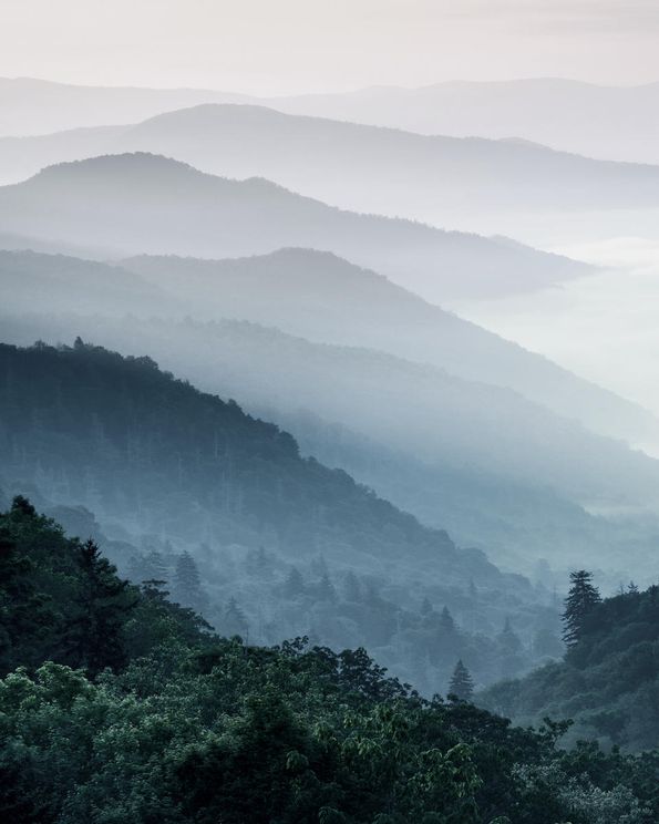 Misty Hills