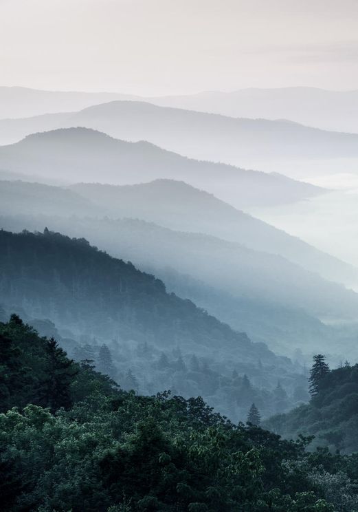 Misty Hills