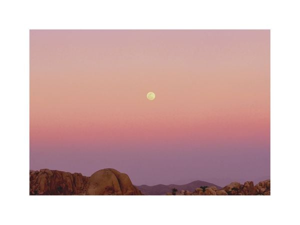Mojave And The Moon