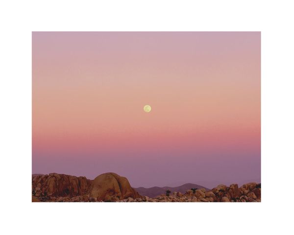 Mojave And The Moon