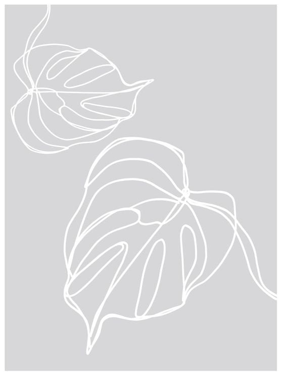 Monstera