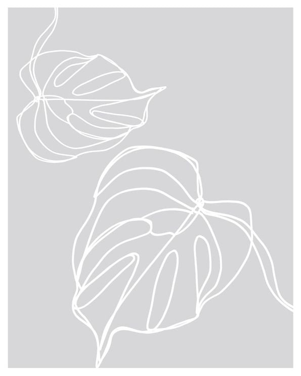 Monstera