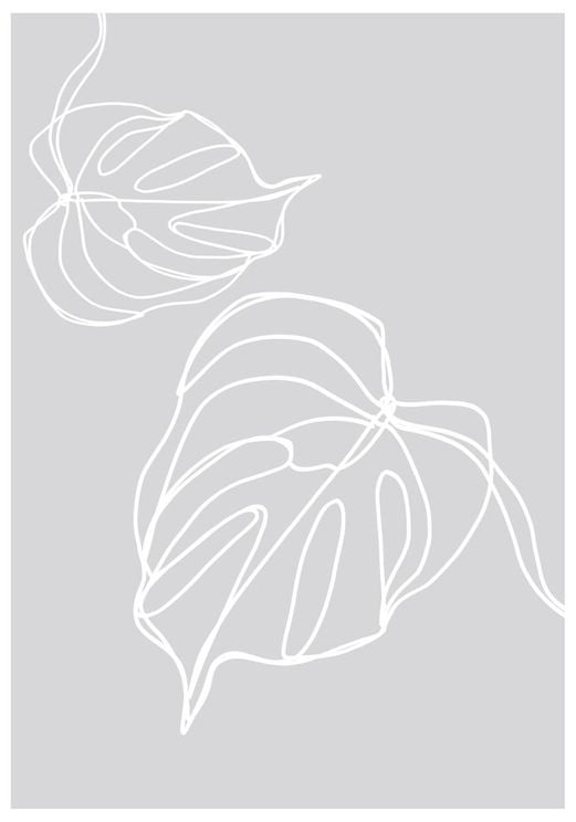 Monstera