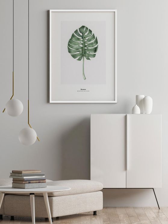 Monstera Deliciosa