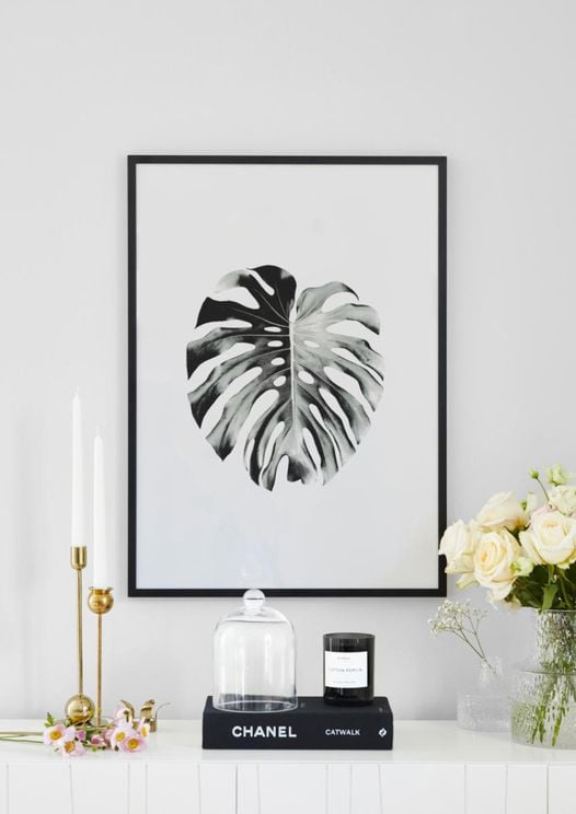 Monstera Leaf