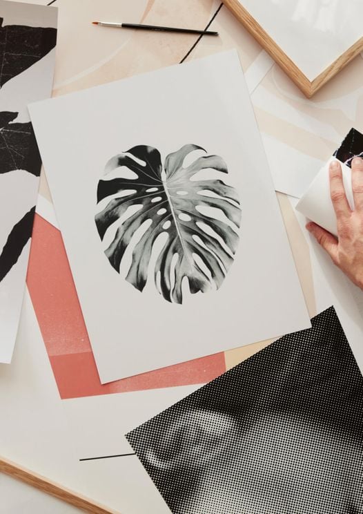 Monstera Leaf