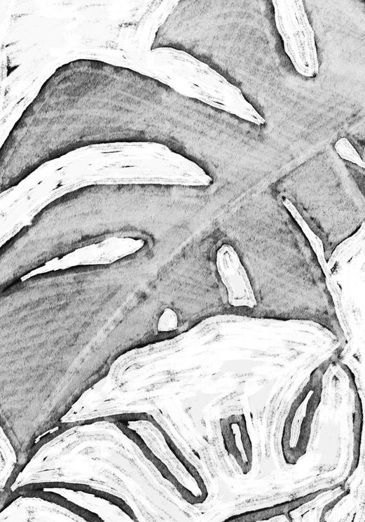 Monstera On Canvas 1