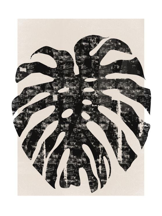 Monstera Screen