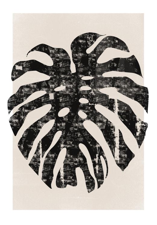 Monstera Screen