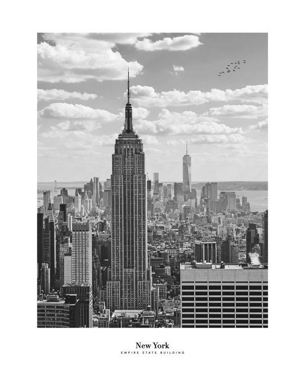 New York Photo