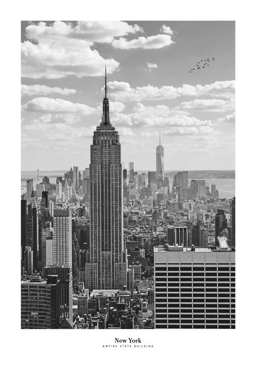 New York Photo
