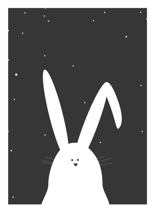 Night Rabbit