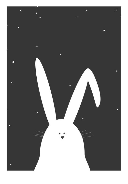Night Rabbit