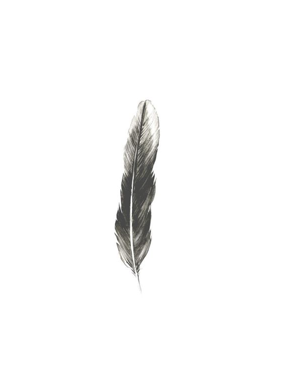 Oh Feather!