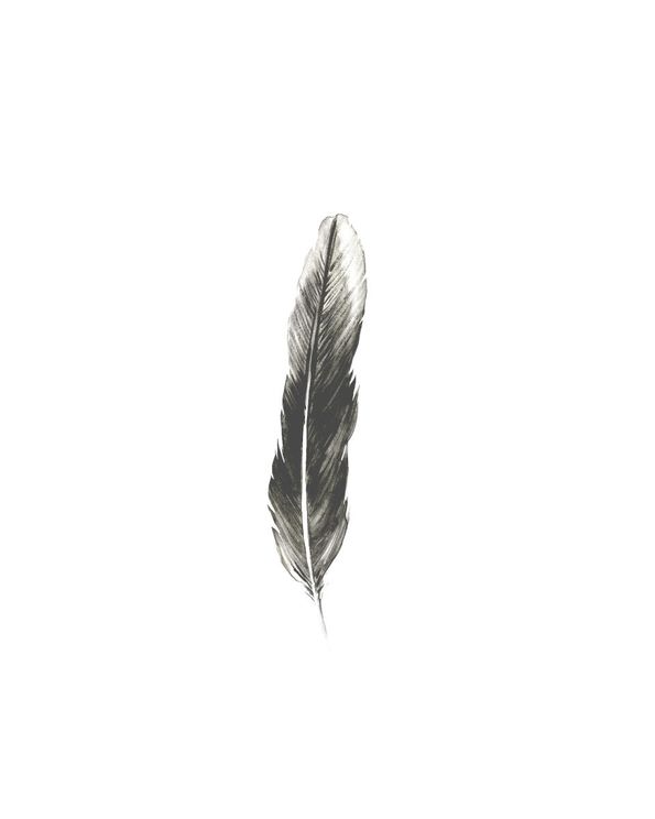 Oh Feather!