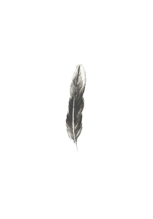 Oh Feather!