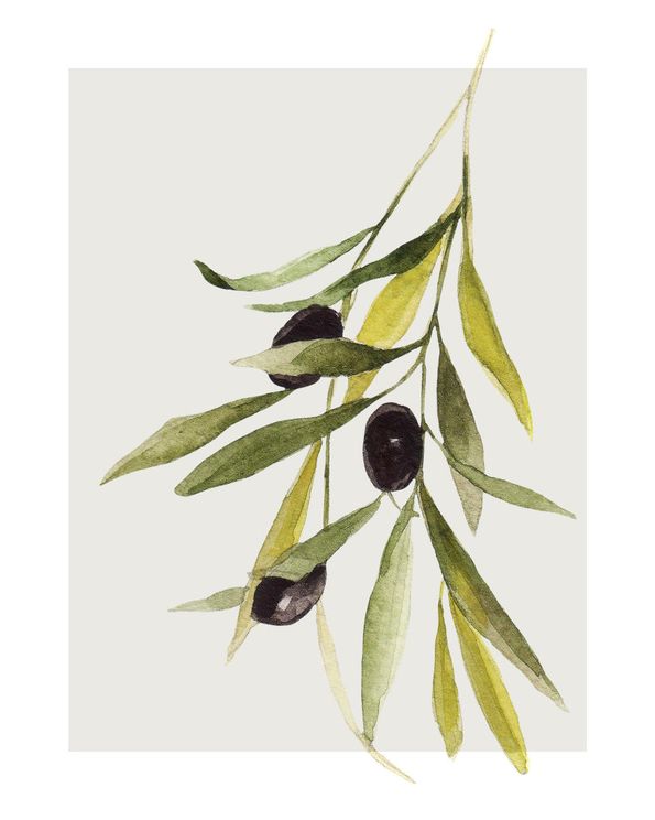Olives