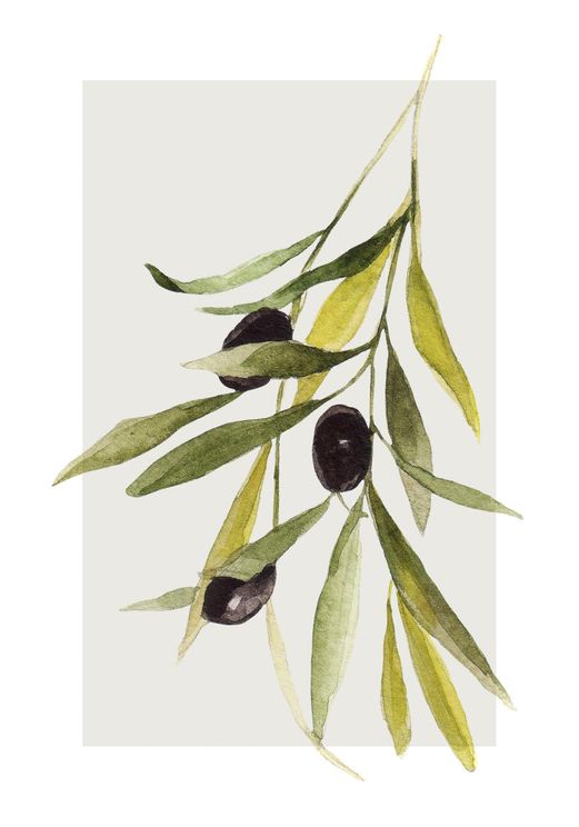 Olives
