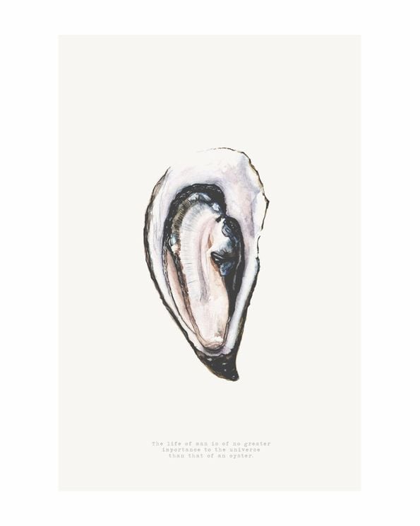 Oyster And Man